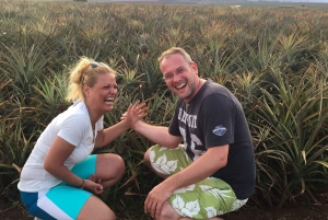 Oahu: Lo mejor de Oahu Tour en grupo reducido