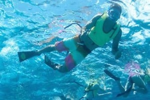 Oahu: Hilton Hawaiian Village middag snorkeltour