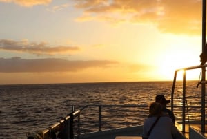 Oahu: Excursión vespertina de snorkel en Hilton Hawaiian Village