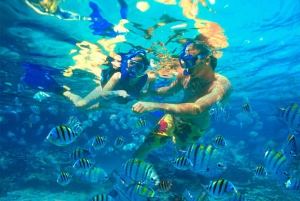 Oahu: Hilton Hawaiian Village Morning Snorkel with Lunch