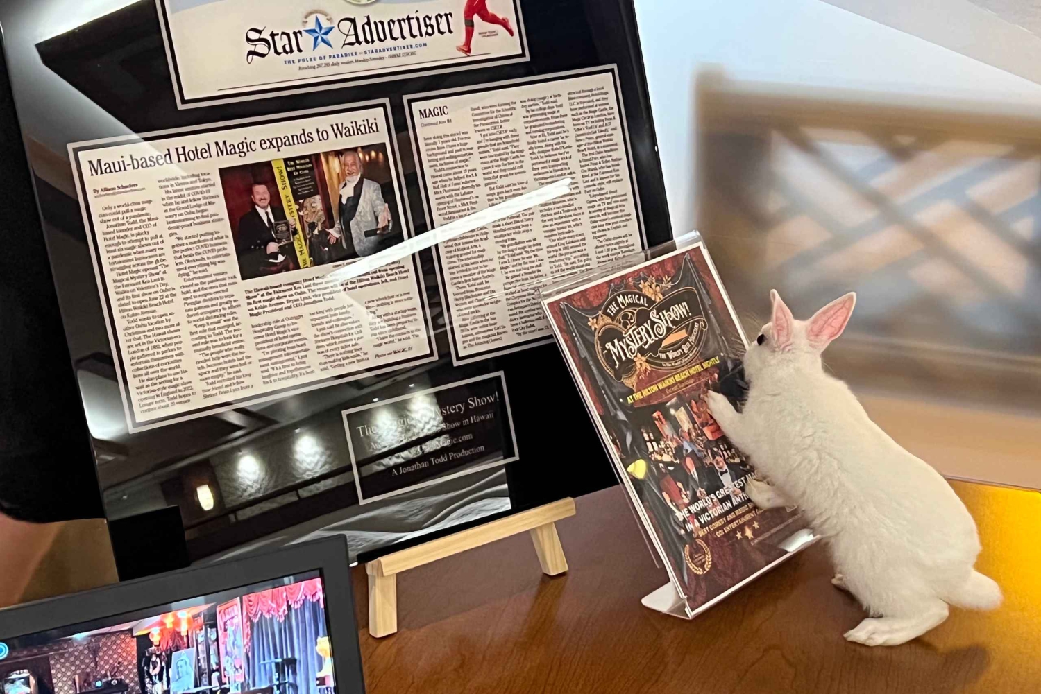 Оаху: волшебное загадочное шоу в отеле Hilton Waikiki Beach