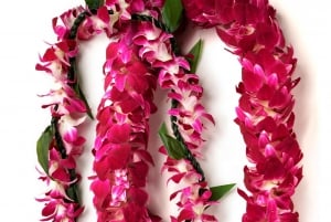 Oahu: Aeroporto de Honolulu (HNL) Honeymoon Lei Saudação
