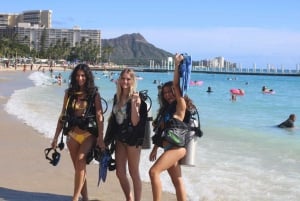Waikiki: Nurkowanie dla początkujących w Honolulu z filmami wideo