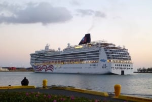 Oahu: Överföring till Honolulu Harbor Cruise Terminal