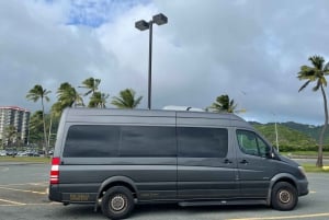 Oahu: transfer van havencruise naar Honolulu