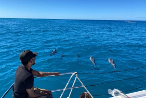 Oahu: Snorkeling privado com tartaruga com itinerário personalizado