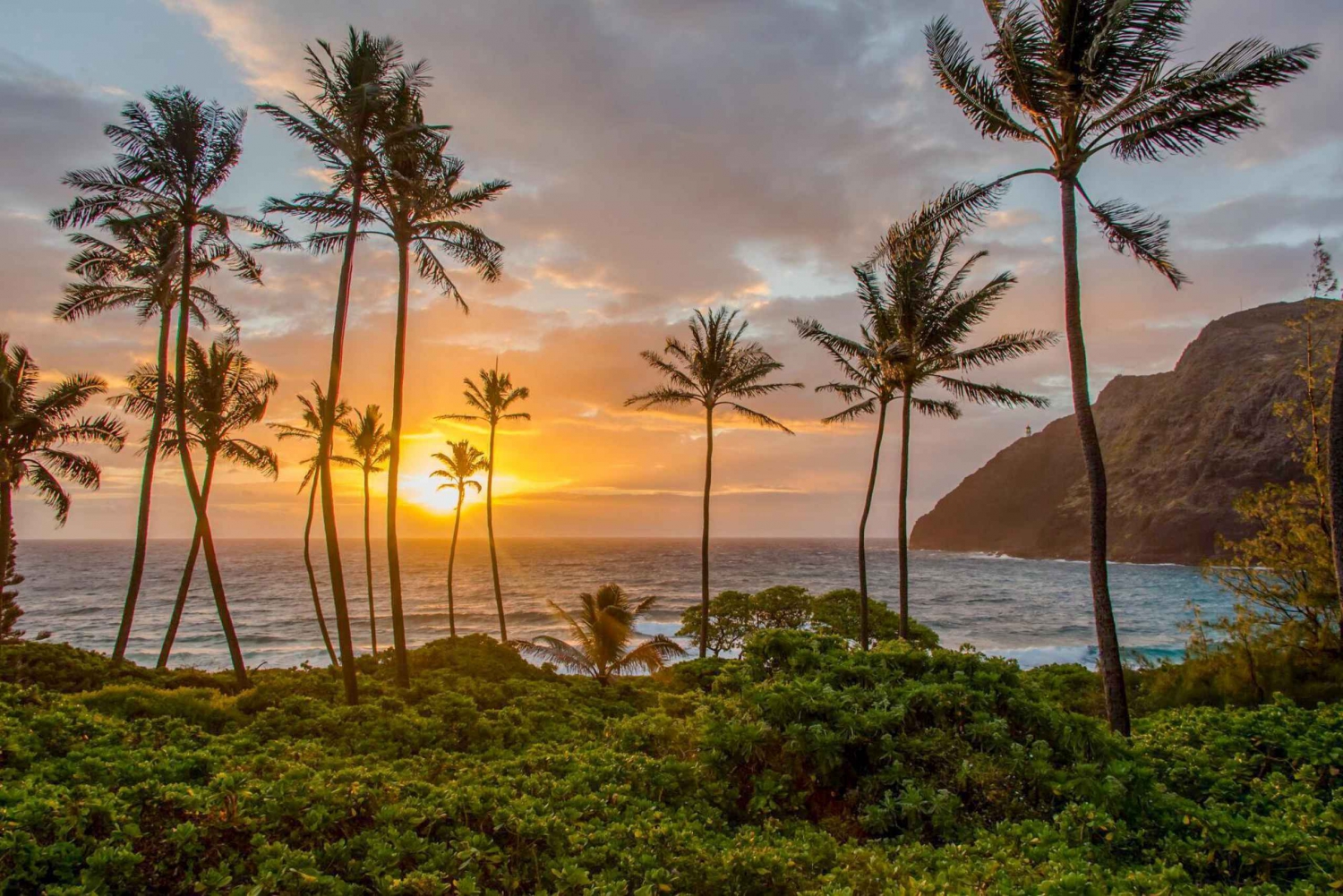 Oahu: Honolulu Sunrise Photos Tour Malasadas kanssa