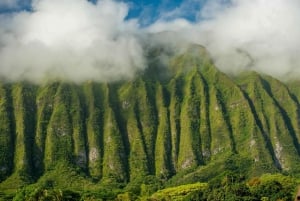 Oahu: Excursión fotográfica al amanecer en Honolulu con Malasadas