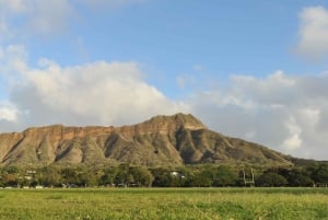Oahu: Honolulu to (1st) Diamond Head Shuttle with Malasada