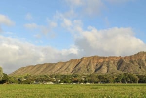 Oahu: Honolulu till Diamond Head Shuttle med Malasada