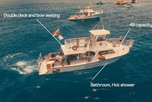 Oahu: Honolulu schildpad Canyon snorkeltour