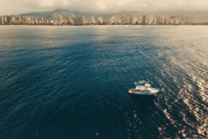 Oahu: Honolulu schildpad Canyon snorkeltour