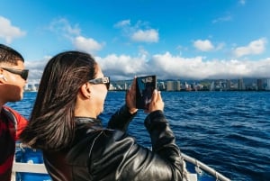 Oahu: Honolulu Whale Watching risteily
