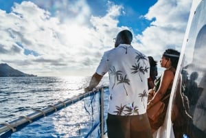 Oahu: Honolulu Whale Watching risteily