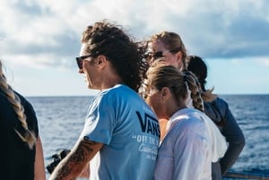 Oahu: Honolulu Whale Watching risteily