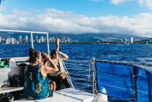 Oahu: Honolulu Whale Watching risteily