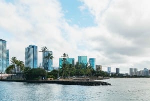 Oahu: Honolulu Whale Watching risteily
