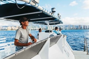 Oahu: Honolulu Whale Watching risteily