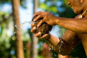 Oahu: Islands of Polynesia och 'HA: Breath of Life Show'