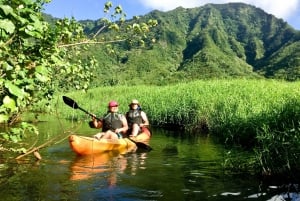 Oahu: Kahana Rainforest River 4-timers kajakkutleie