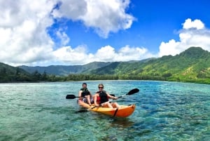 Oahu: noleggio kayak di 4 ore sul fiume Kahana Rainforest
