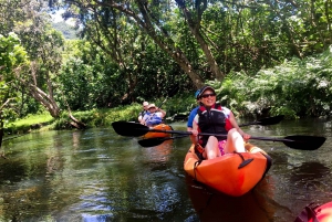 Oahu: Kahana Rainforest River 4-timmars kajakuthyrning