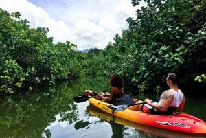 Oahu: Kahana Rainforest River 4-Stunden-Kajakverleih