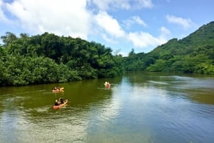 Oahu: Kahana Rainforest River 4-timers kajakudlejning