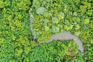 Oahu: Kahana Rainforest River 4-Hour Kayak Rental