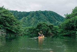 Oahu: Kahana Rainforest River 4-Hour Kayak Rental