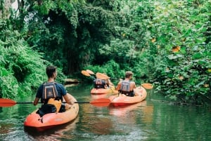 Oahu: Kahana Rainforest River 4-Hour Kayak Rental