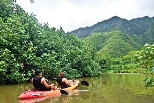 Oahu: Kahana Rainforest River 4-Hour Kayak Rental