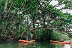 Oahu: Kahana Rainforest River 4-Hour Kayak Rental
