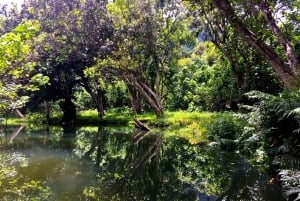 Oahu: Kahana Rainforest River 4-Hour Kayak Rental