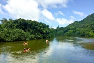Oahu: Kahana Rainforest River 4-Hour Kayak Rental