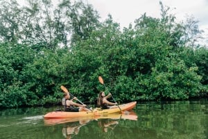 Oahu: Kahana Rainforest River 4-Hour Kayak Rental
