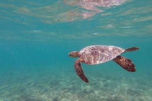 Oahu : Excursion guidée en kayak à Kailua avec déjeuner