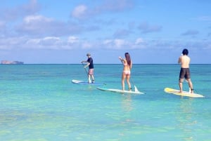 Oahu: Kailua Stand Up Paddle Board lektion