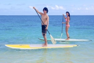 Oahu Lección de Stand Up Paddle Board en Kailua