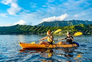 Oahu: Kaneohe Bay Coral Reef Kayaking Rental