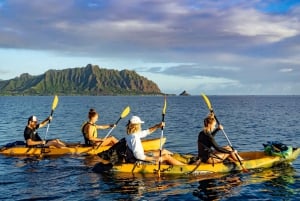 Oahu: Kaneohe Bay Coral Reef Kayaking Rental