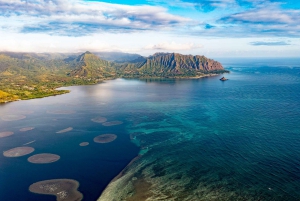 Oahu: Kaneohe Bay Coral Reef Kayaking Rental