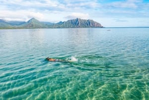 Oahu: Kaneohe Bay Coral Reef Kayaking Rental