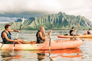 Oahu: Kaneohe Bay Coral Reef Kayaking Rental