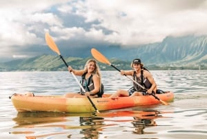 Oahu: Kaneohe Bay Coral Reef Kayaking Rental