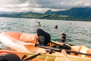 Oahu: Kaneohe Bay Coral Reef Kayaking Rental