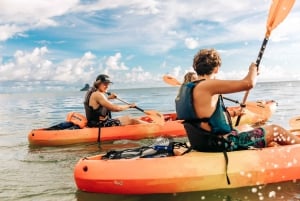 Oahu: Kaneohe Bay Coral Reef Kayaking Rental