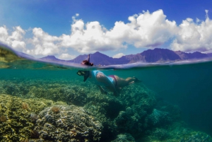 Oahu: Kane'ohe Bay Kayak Rentals