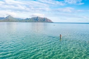 Oahu Experiencia autoguiada en kayak por los bancos de arena de Kaneohe