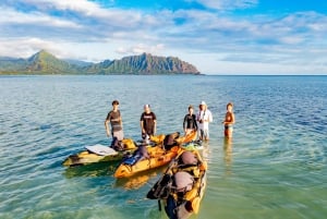 Oahu Experiencia autoguiada en kayak por los bancos de arena de Kaneohe